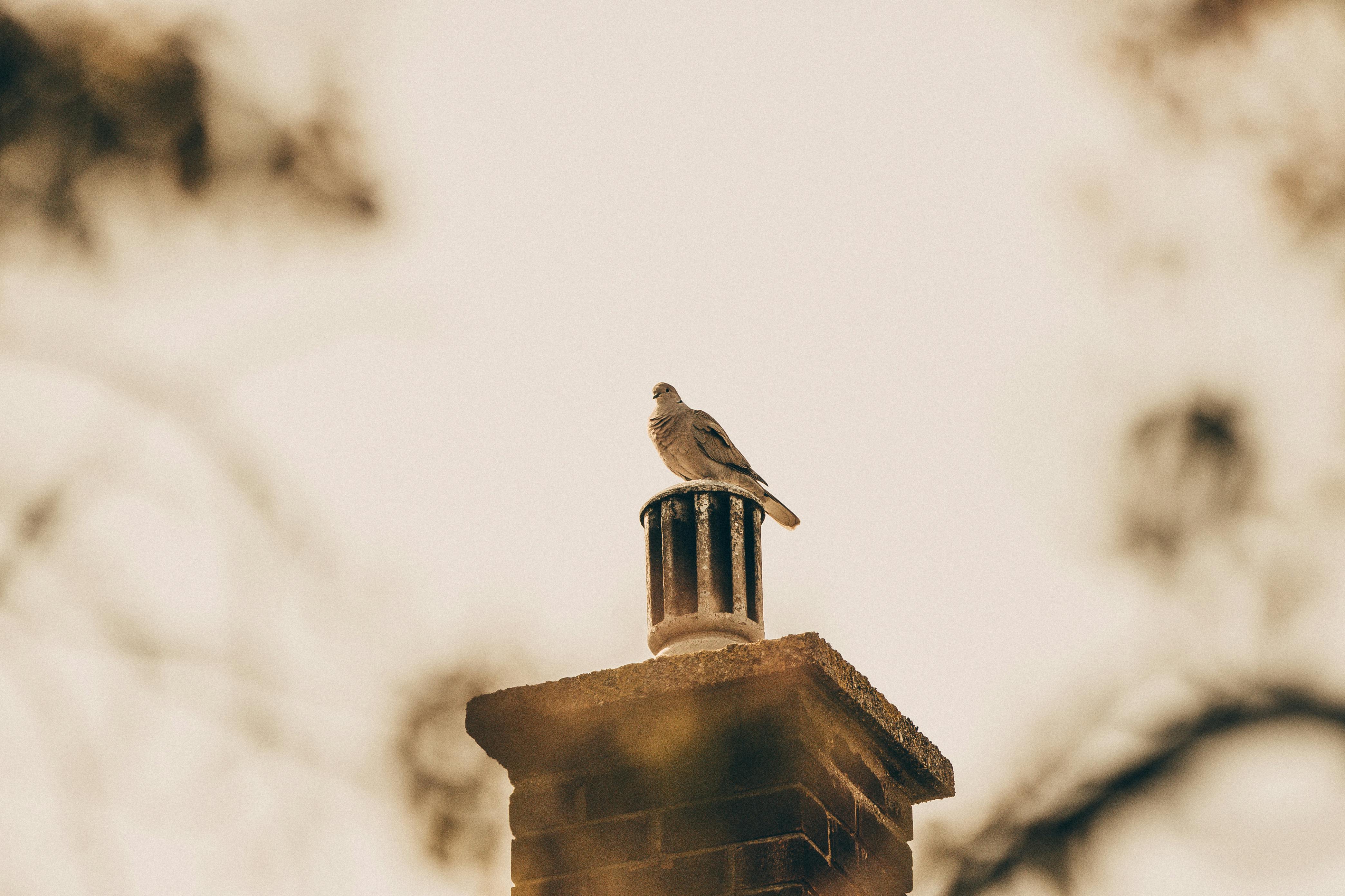 Expert Chimney Cap Installation in Bolingbrook, Illinois